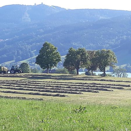 Appartamento Hideaway Zell am Moos Esterno foto