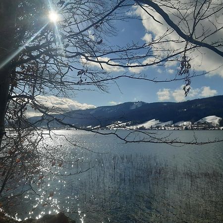 Appartamento Hideaway Zell am Moos Esterno foto