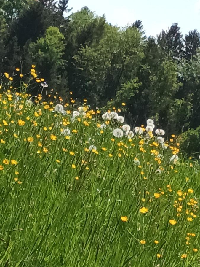 Appartamento Hideaway Zell am Moos Esterno foto