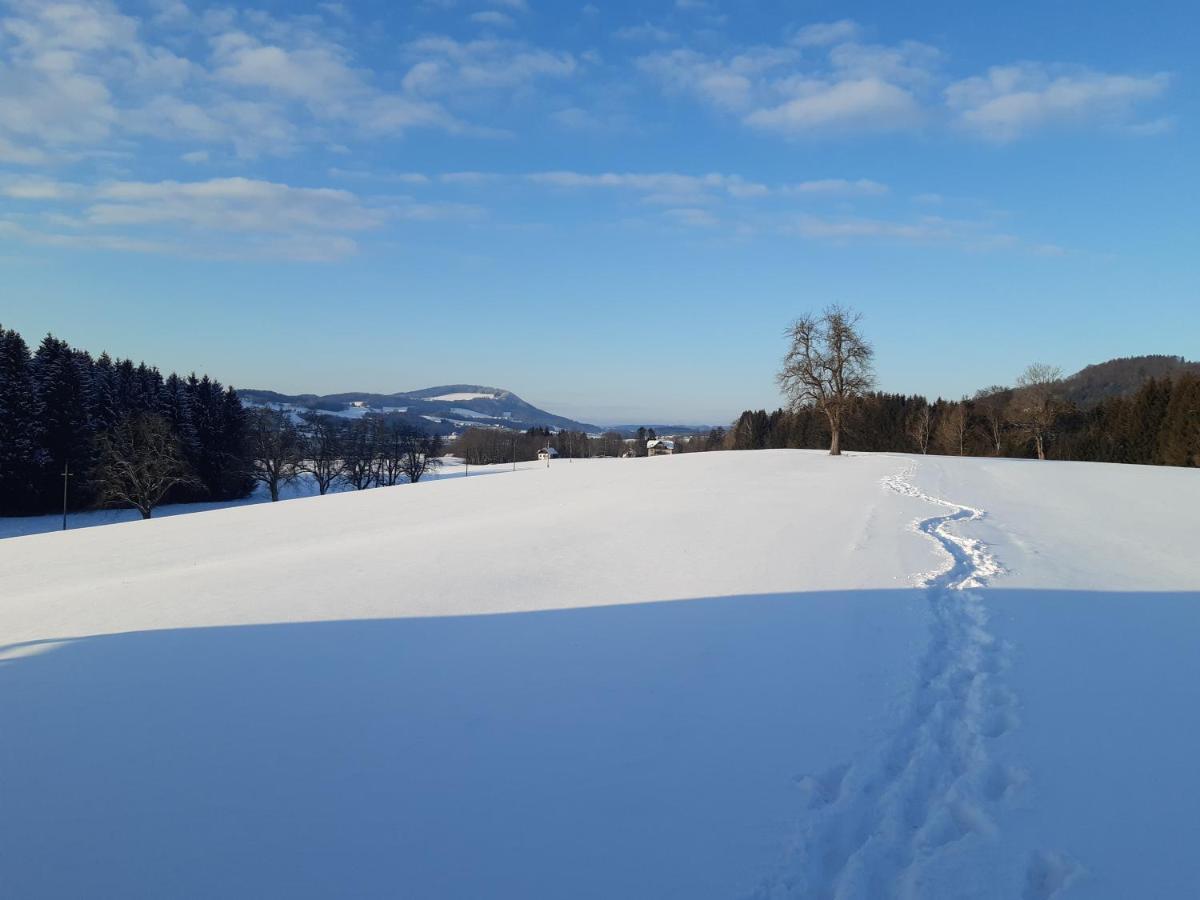 Appartamento Hideaway Zell am Moos Esterno foto