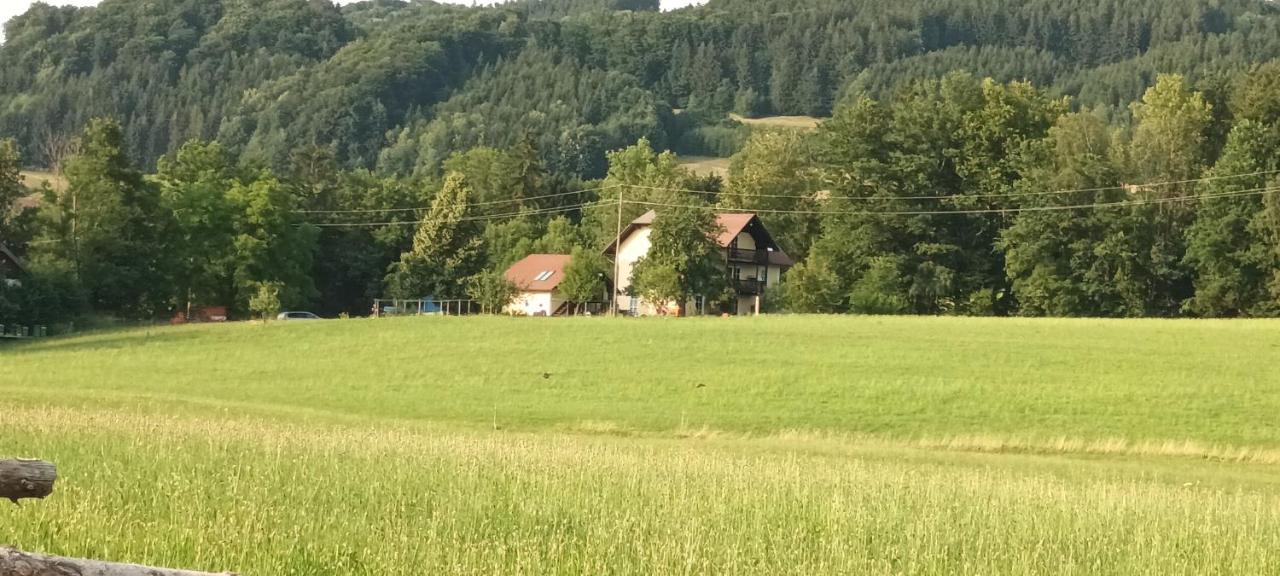 Appartamento Hideaway Zell am Moos Esterno foto