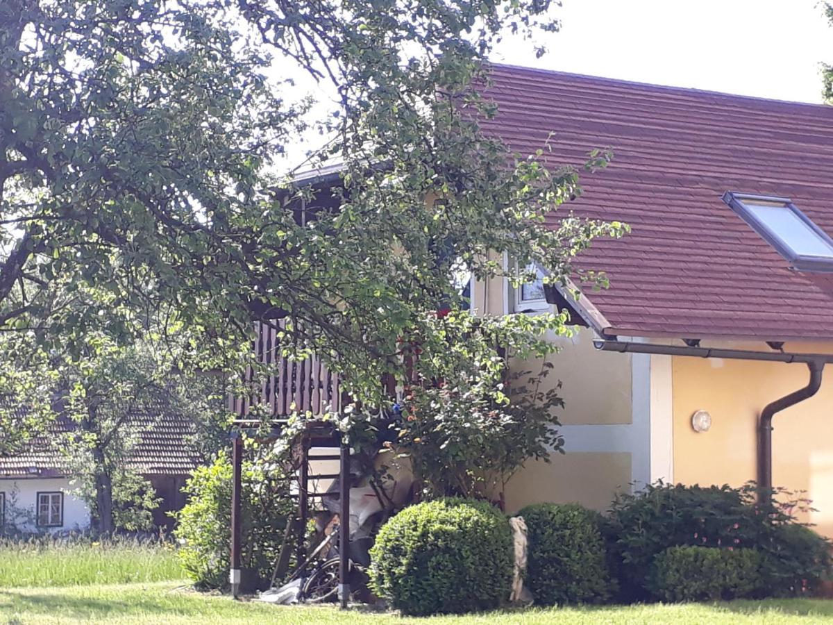 Appartamento Hideaway Zell am Moos Esterno foto