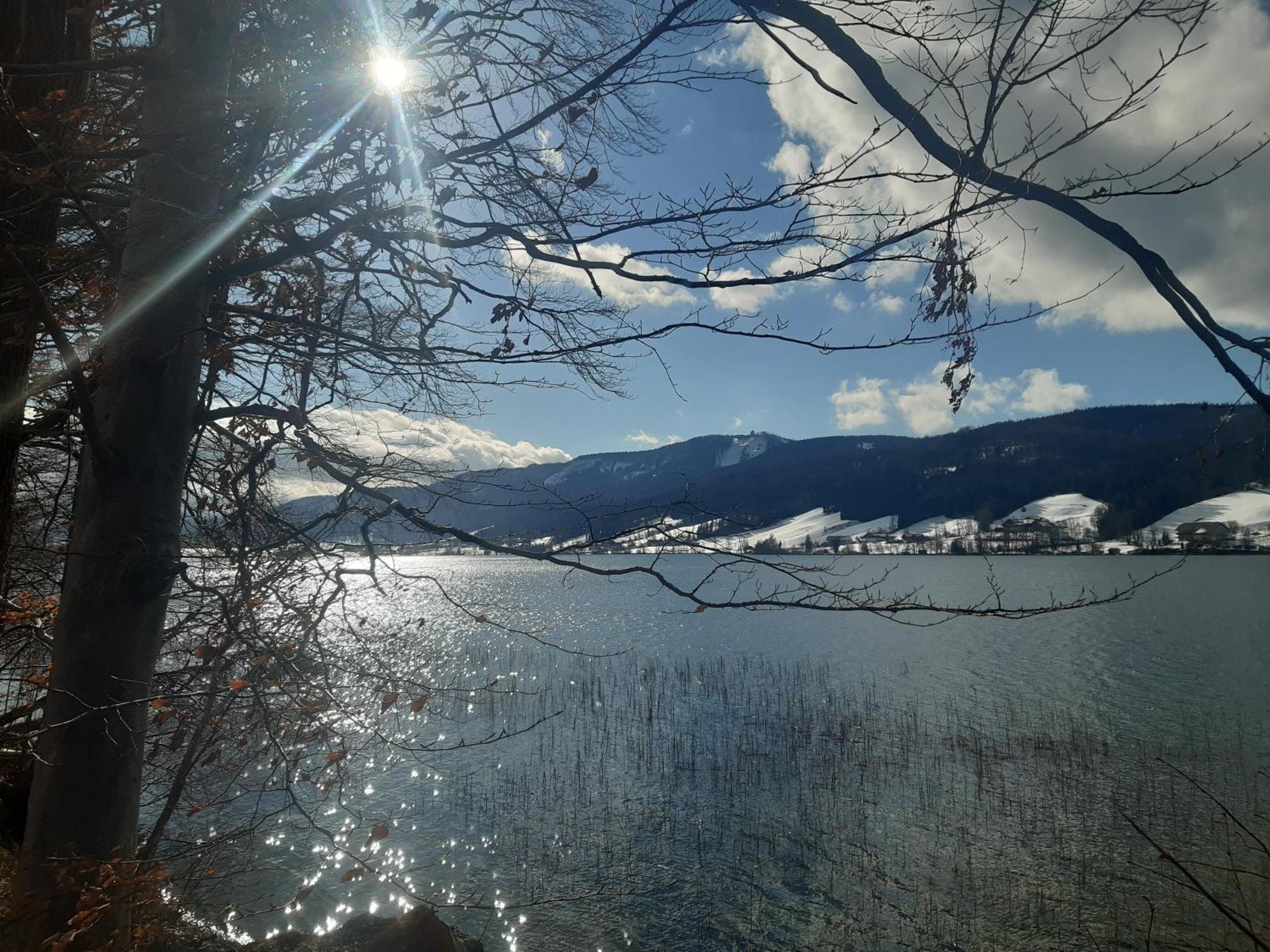 Appartamento Hideaway Zell am Moos Esterno foto